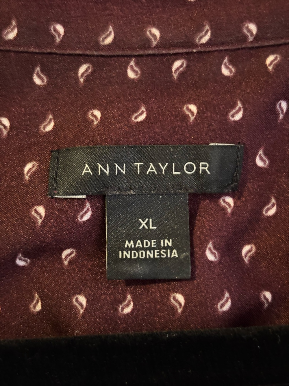 Ann Taylor Burgundy Blouse with Light Pink Paisley